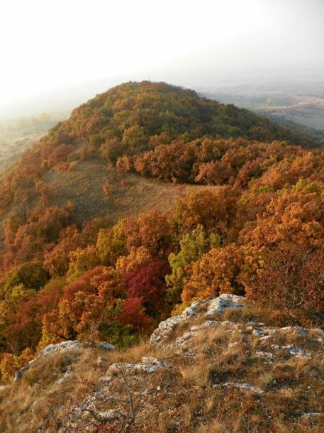 2011-11-02 Ősz a Strázsa-hegyen