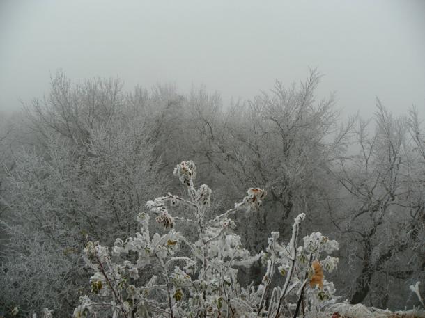 2011-11-20 Dobogókőn már tél van