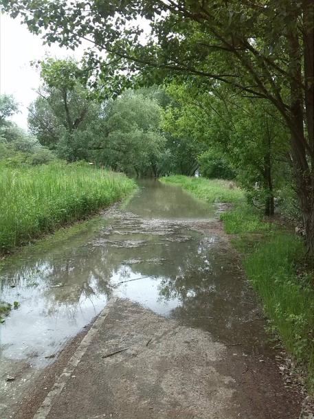 A Duna állása ma reggel a Csenke patak után. Fotó: Geletey Balázs