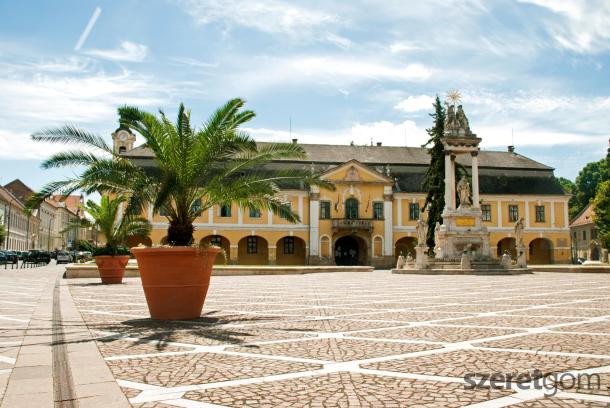 Visszakerültek a pálmák a Széchenyi térre.