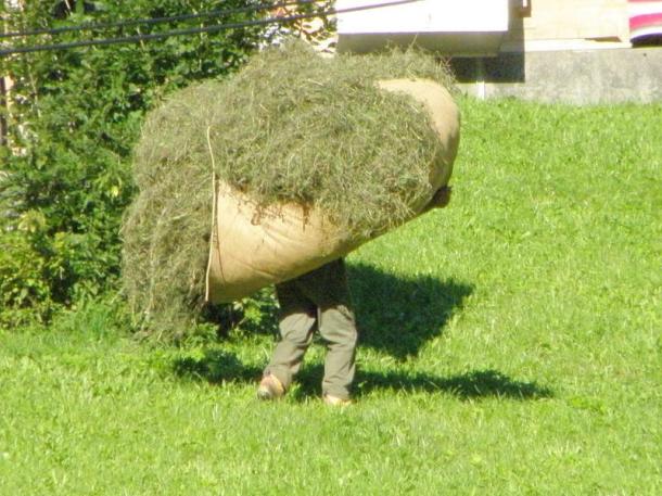 svájci farmer