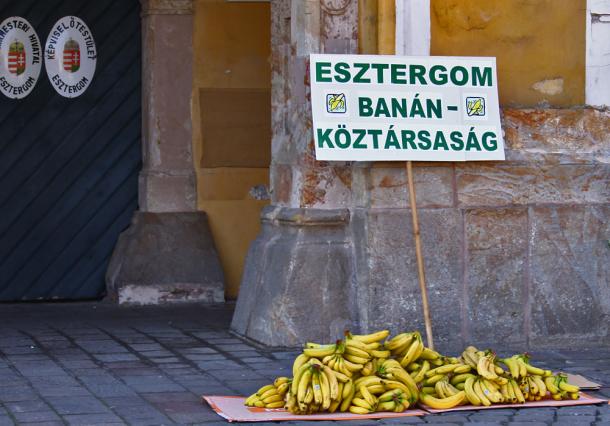 Üdvözöljük Banángomban!